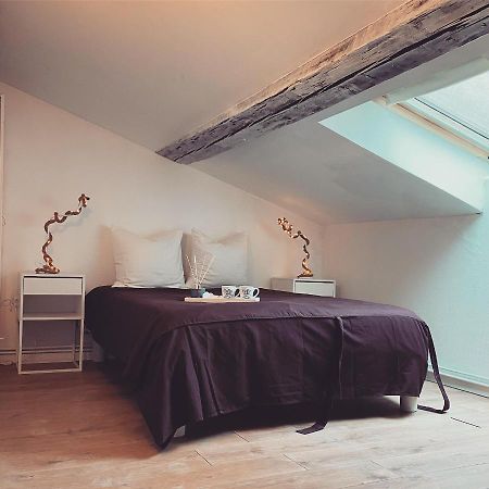 Superbe Duplex En Plein Coeur De Nancy Buitenkant foto