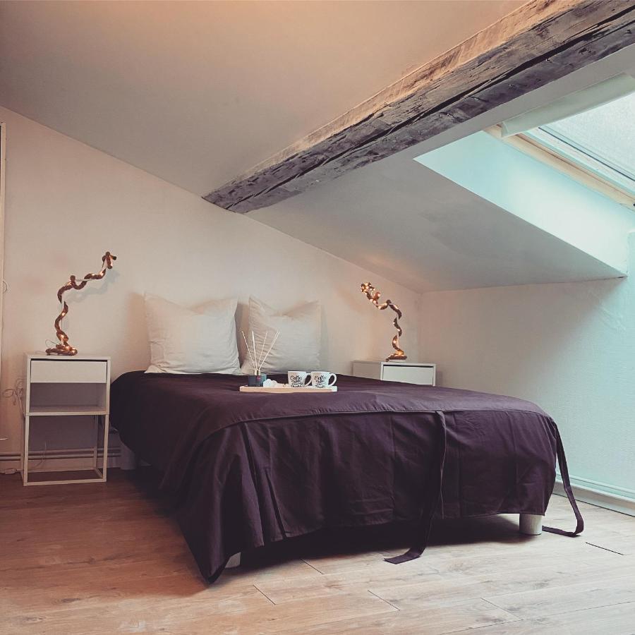 Superbe Duplex En Plein Coeur De Nancy Buitenkant foto